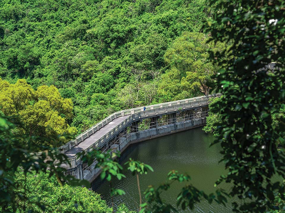 鶴藪水塘（Hok Tau Reservoirs）からの景観